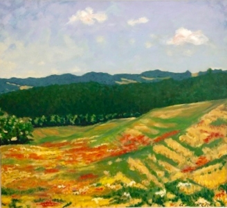 Blooming Fields